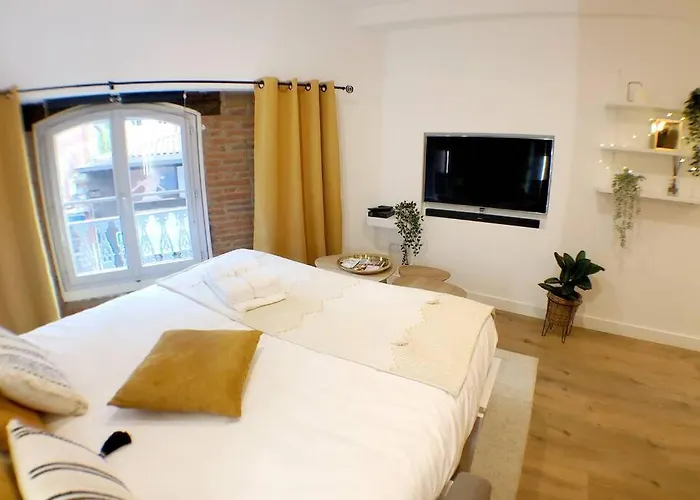 Le Floral - Hypercentre Capitole # Parking Prive # Queen Size